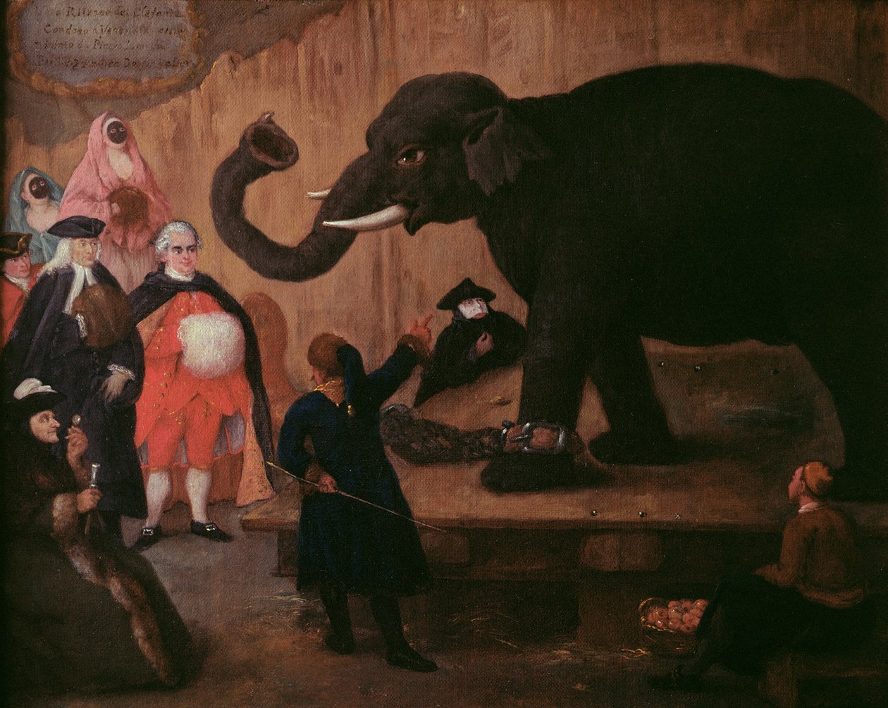 Elefantti esitetty Venetsiassa tekijältä Pietro Longhi
