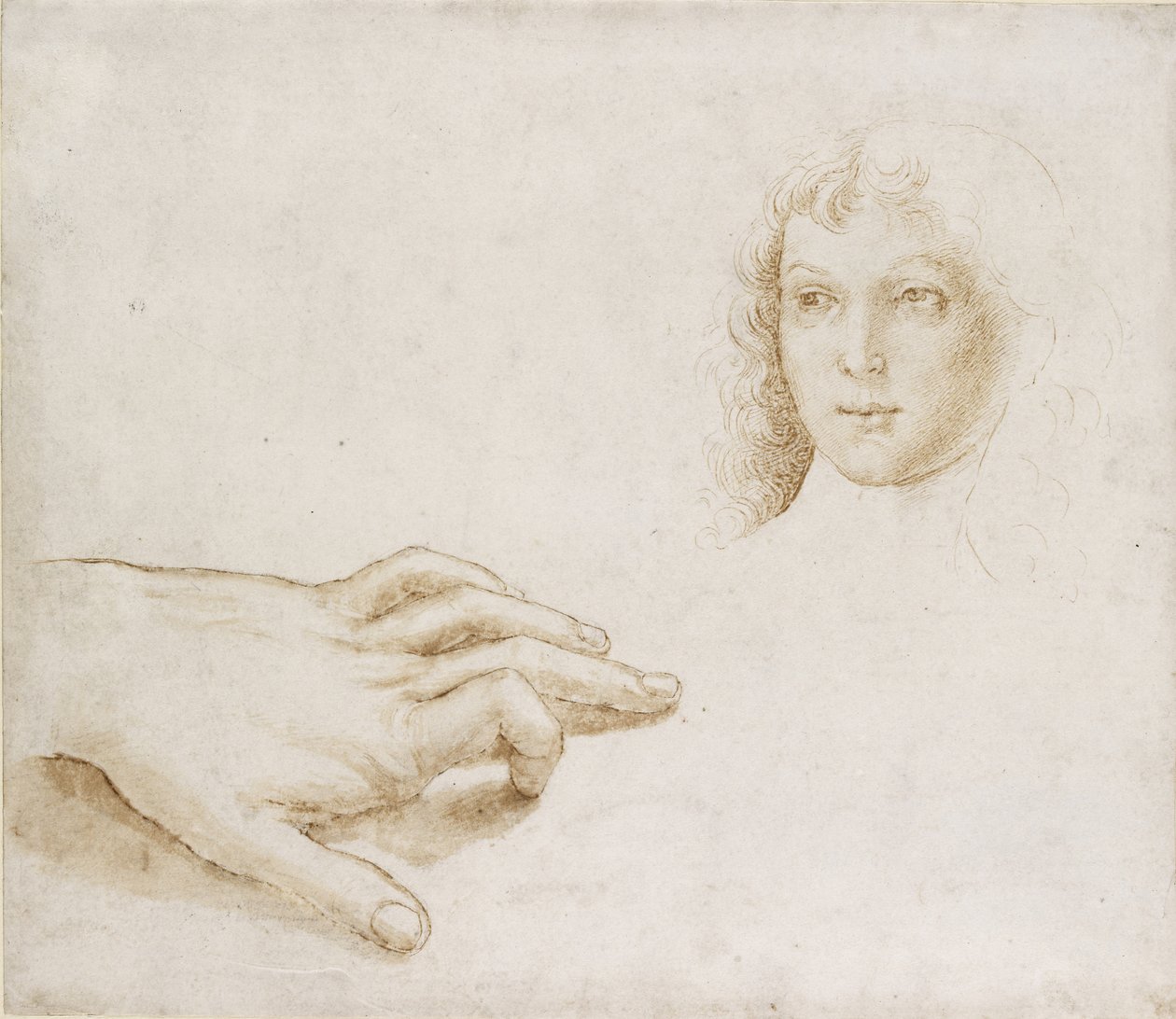 Pään ja käden tutkimukset, WA1846.8 tekijältä Pietro Perugino