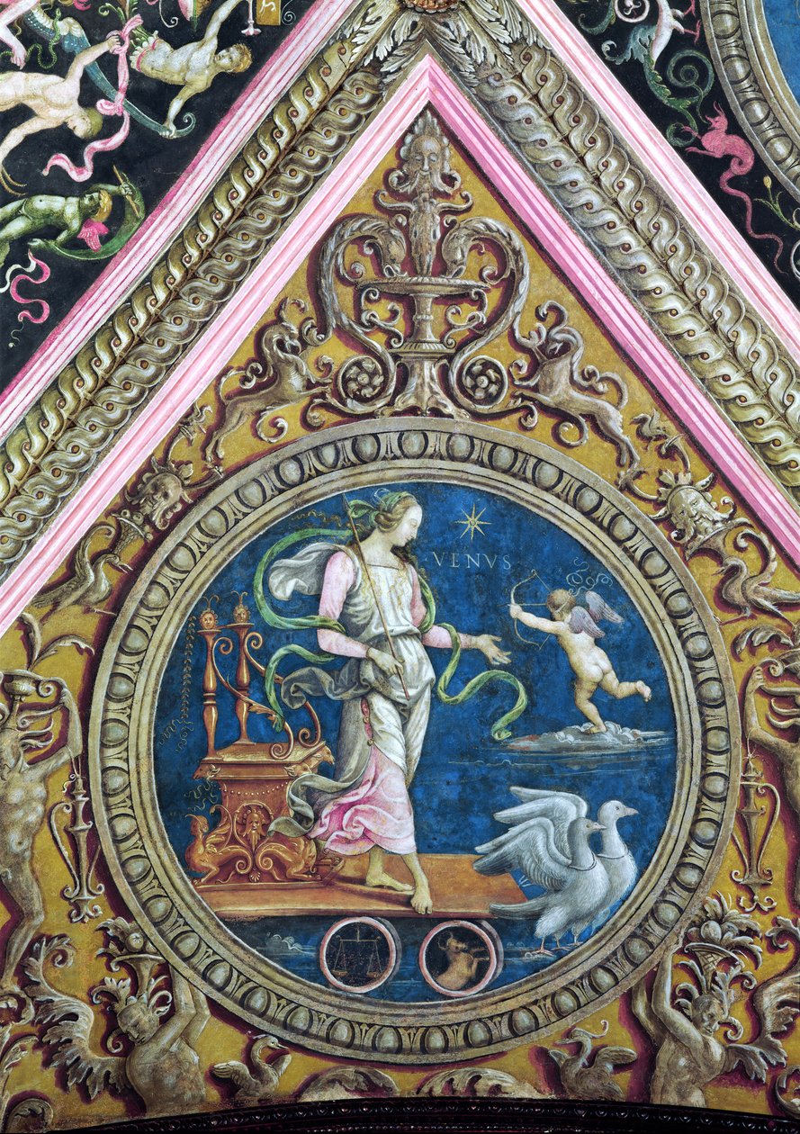 Venus, Sala dell