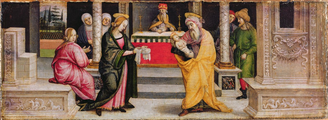 Esitys temppelissä, n. 1510 (tempera paneelissa) tekijältä Pietro (follower of) Perugino
