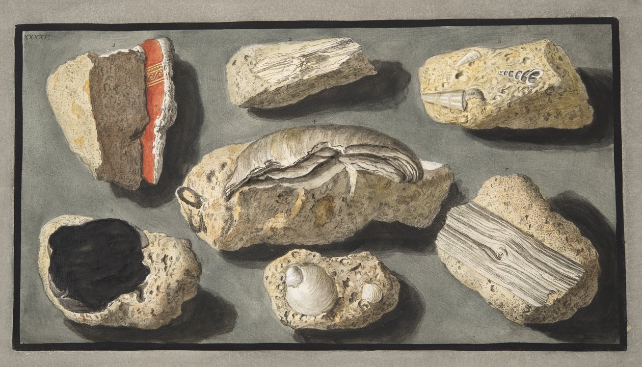 Sir William Hamiltonin (1730-1803) julkaisusta "Campi Phlegraei: Observations on the Volcanoes of the Two Sicilies" Herculaneumista ja sen ympäristöstä löytyneet tufanäytteet, levy XXXXV, julkaistiin 1776 (käsi col) tekijältä Pietro Fabris