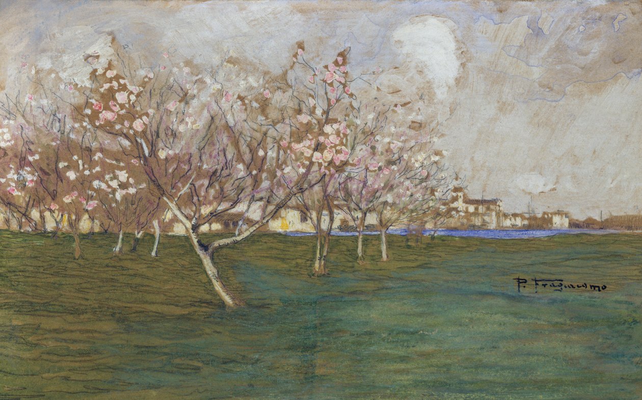 kevät tekijältä Pietro Fragiacomo