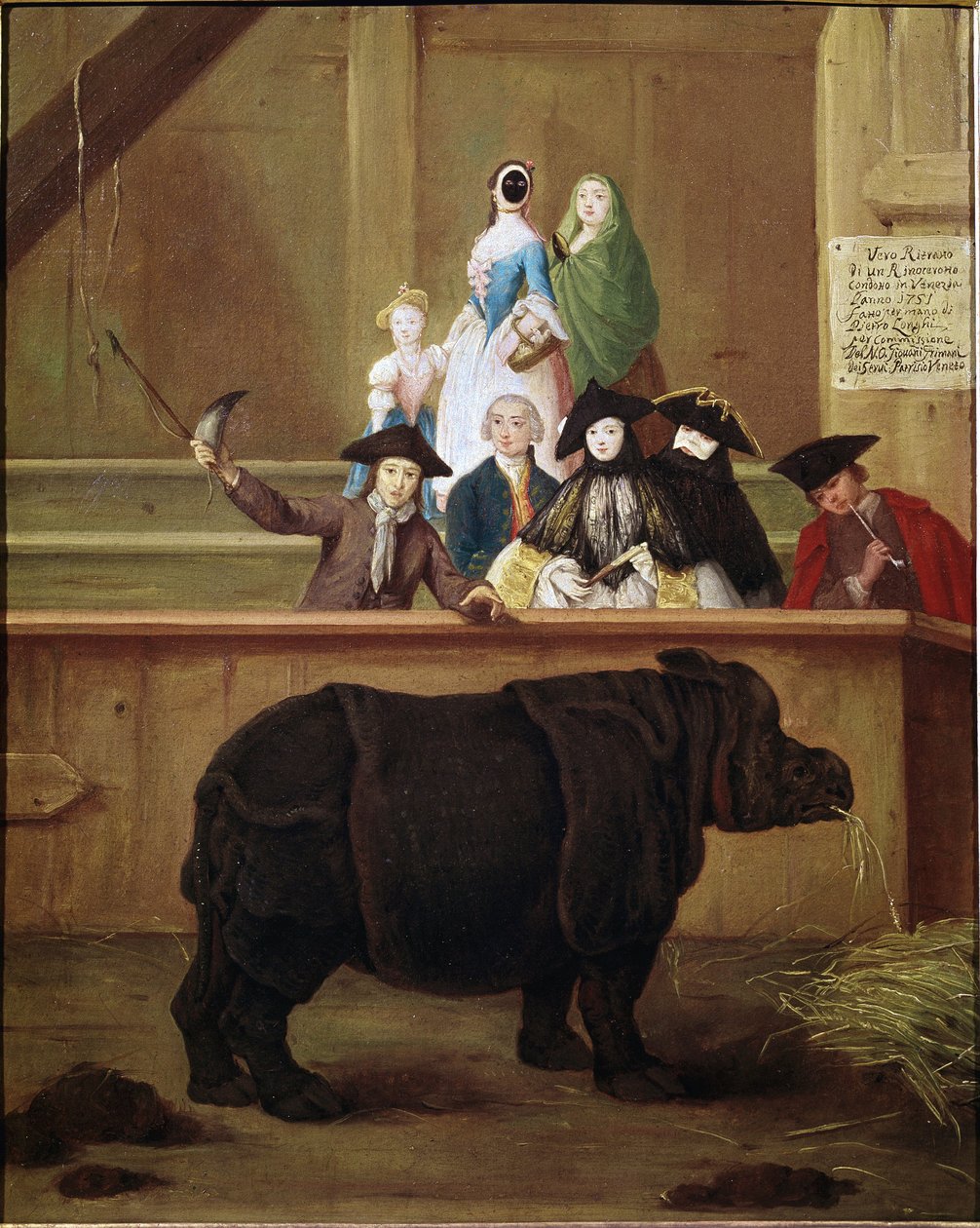 Sarvikuono: näyttely Clara, Intian sarvikuono. Pietro Longhin (1702-1785) maalaus. 1751. 1700-luvun venetsialainen museo. Ca 
