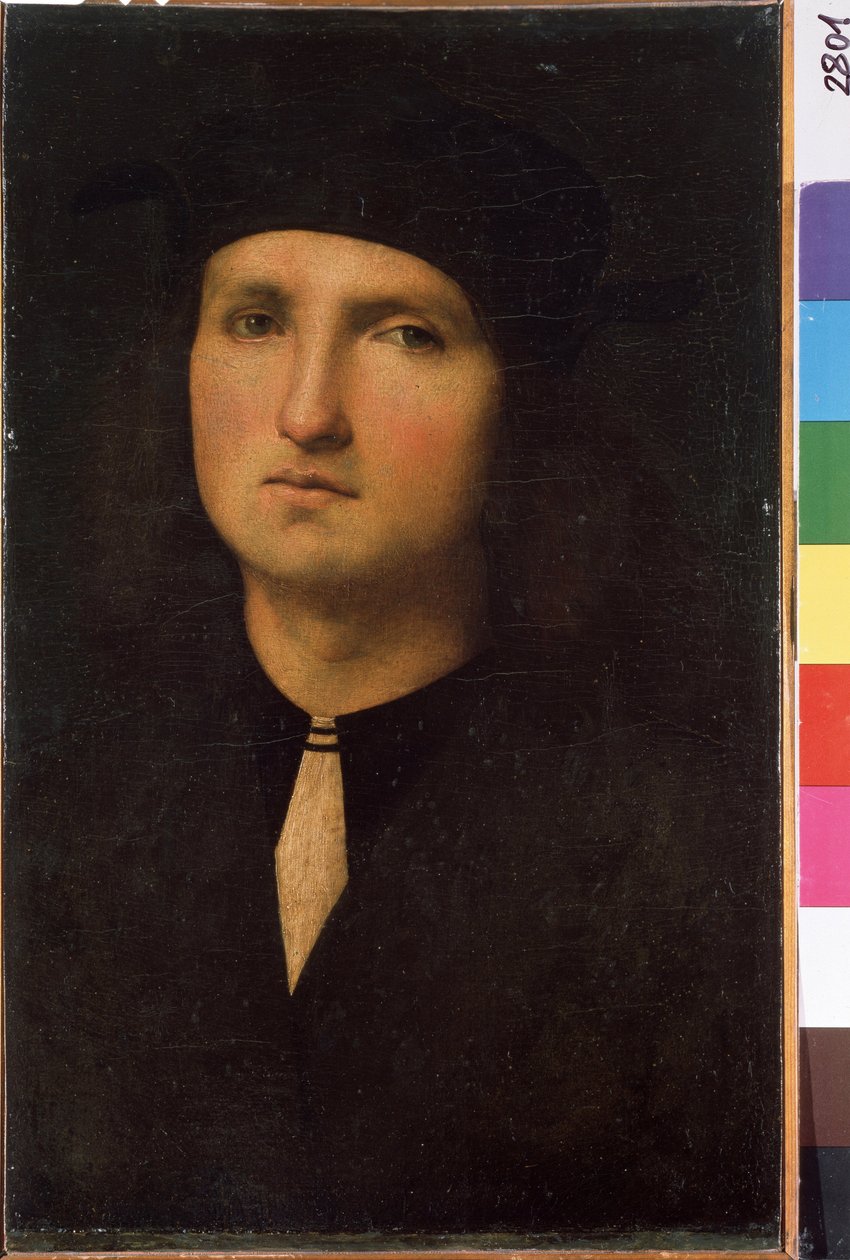 Nuoren miehen muotokuva (nuoren miehen muotokuva). Pietro di Cristoforo Vannuccin maalaus Pietro Peruginosta (Le Perugin tekijältä Pietro Perugino
