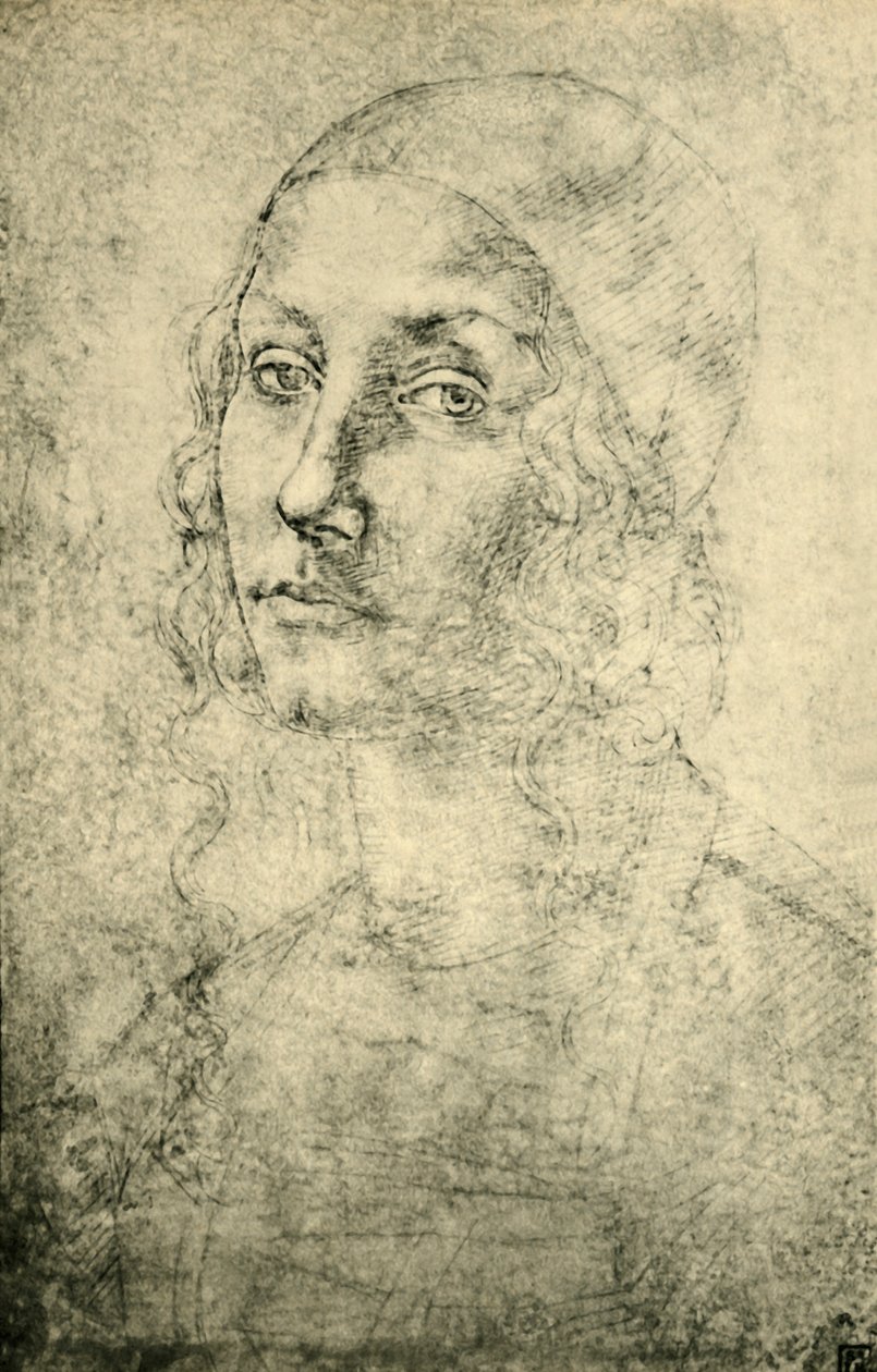 Naisen muotokuva, 1400-luvun loppu - 1500-luvun alku, 1943. tekijältä Pietro Perugino