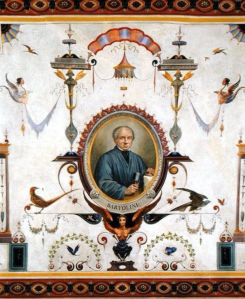 Lorenzo Bartolinin (1777-1850) muotokuva, yksityiskohta Sala del Sindacon katosta tekijältä Pietro Pezzati