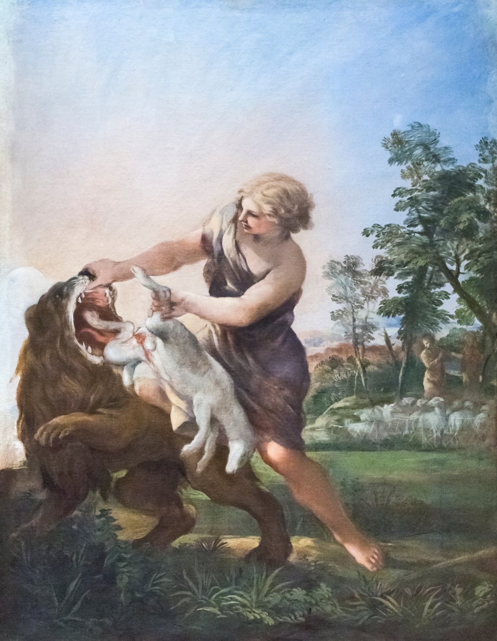 David Killing the Lion (öljy kankaalle) tekijältä Pietro da (1596 1669) Cortona