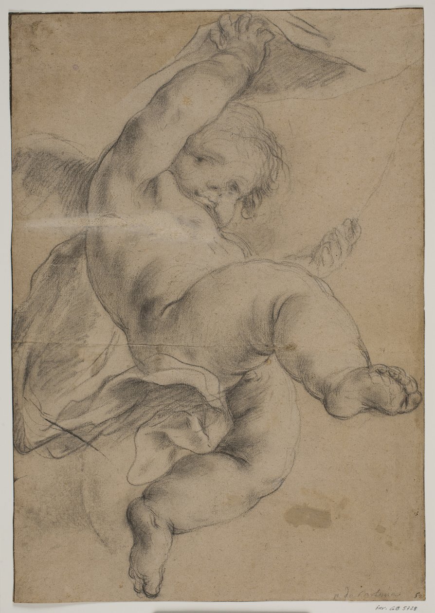 Lentävä putto nostamassa verhoa tekijältä Pietro da Cortona