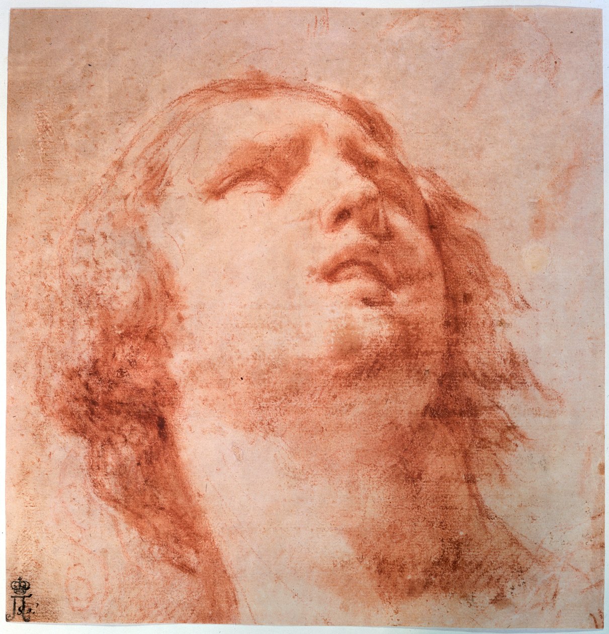 Päätutkimus naisesta, joka katsoo ylöspäin, 1600-luku tekijältä Pietro da Cortona