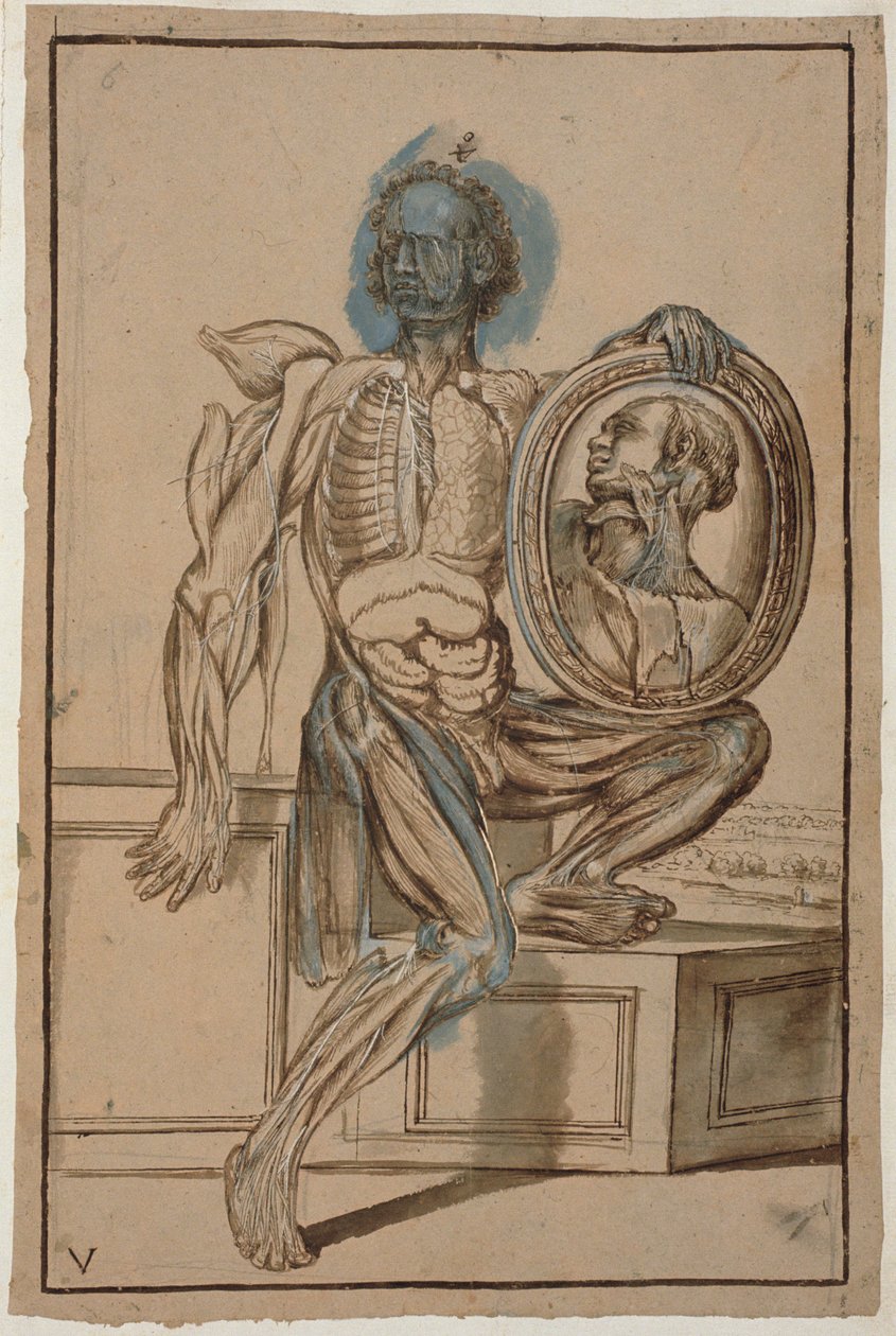 Ms Hunter 653 Taulu V Anatominen piirustus, noin 1610 (lyijykynä ja liitu paperille). tekijältä Pietro da Cortona