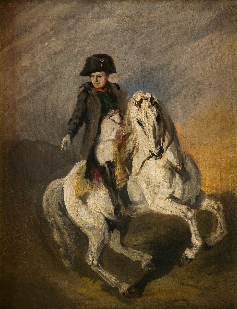 Napoleon harmaalla hevosella (öljy kankaalle) tekijältä Piotr Michalowski