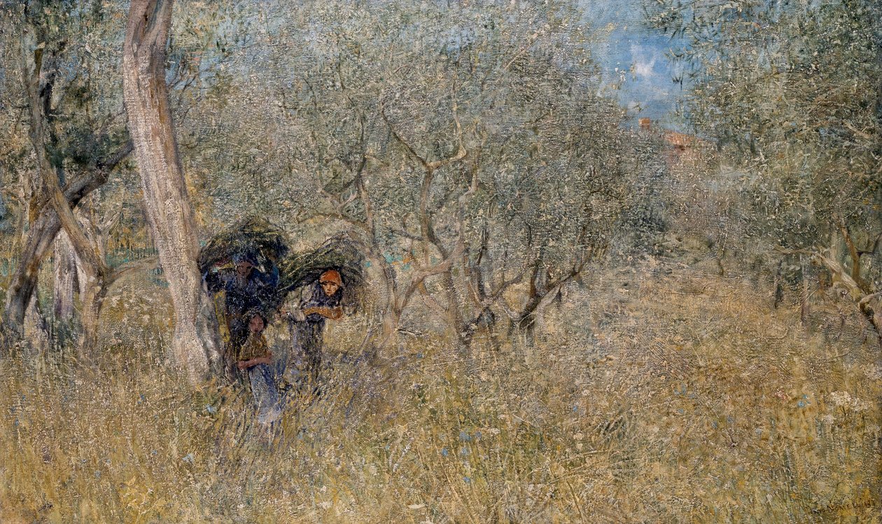 Oliivipuiden joukossa kiehtovia, Plinio Nomellini (1866-1943), öljy kankaalle, 60x100 cm tekijältä Plinio Nomellini