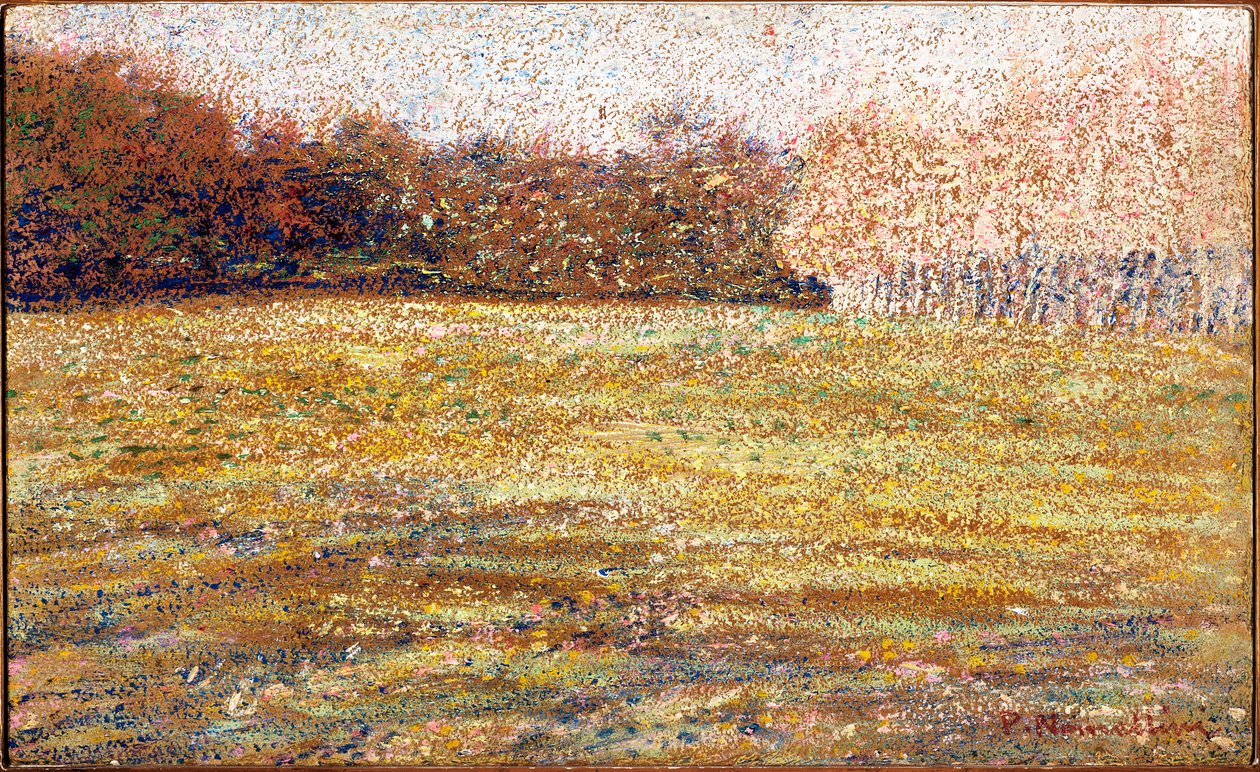 Cascinessa, Firenzessä, 1889-90 tekijältä Plinio Nomellini