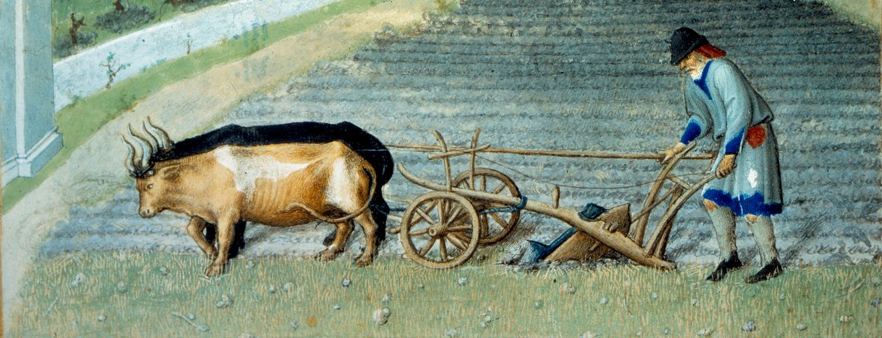 Maaliskuu: lunta Maataloustyö, talonpoika kyntämässä peltoa. Yksityiskohta. Miniatyyri Pol De Limburgin teoksessa "Berryn herttuan rikkaat hetket" (1400-luku). Chantilly, Musee Conde tekijältä Pol de Limbourg