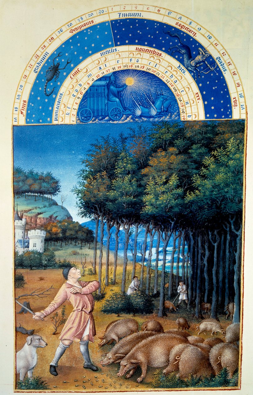 Marraskuu: tammenterhojen teurastus. Miniatyyri Pol De Limburgin teoksessa "Berryn herttuan rikkaat hetket" (1400-luku). Chantilly, Musee Conde tekijältä Pol de Limbourg