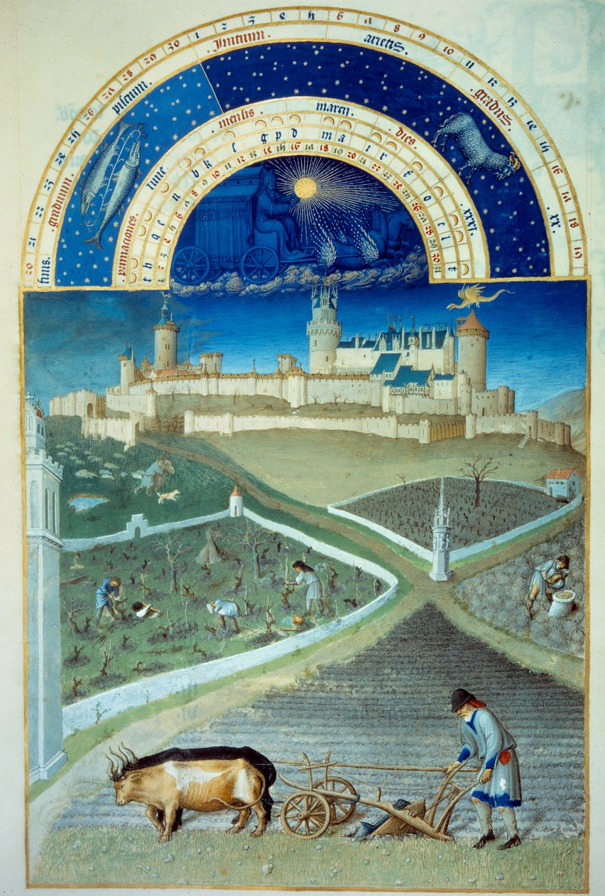 Maaliskuu: kyntö Etualalla, maataloustyöt, talonpojat kyntämässä peltoa, viiniköynnösten koko, alhaalla Lusignanin linna - Miniatyyri teoksessa "" Les tres riches heures du Duke de Berry", kirjoittaja Pol De Limburg (1400-luku) - C tekijältä Pol de Limbourg
