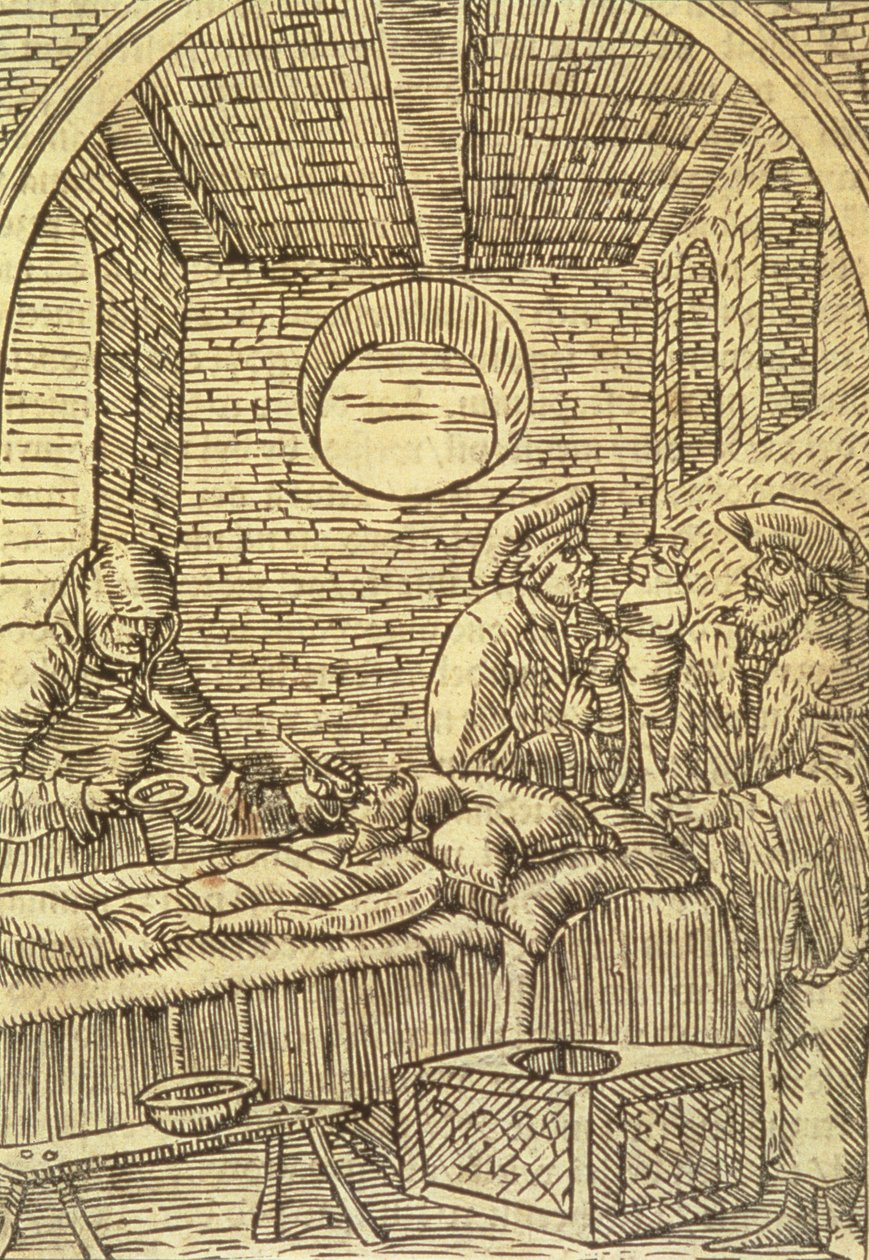 Lääkeyrttien antaminen, 1534 tekijältä Polish School