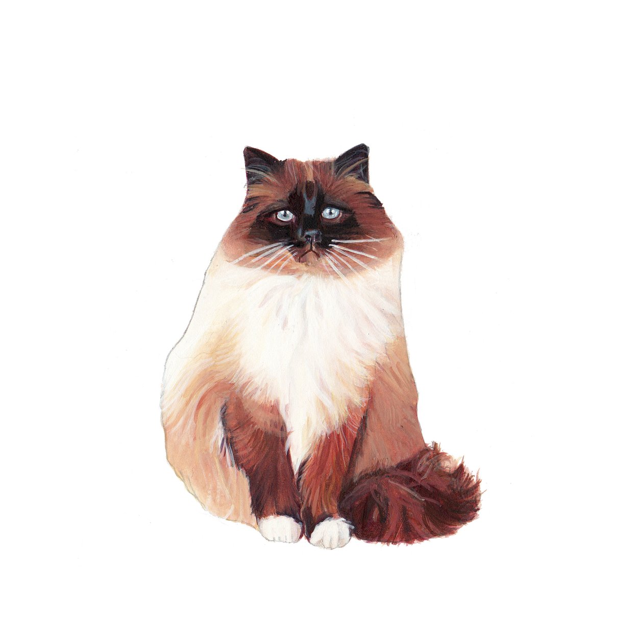 Birmanin kissa, 2014 (akvarelli ja guassi paperille) tekijältä Polly Horner