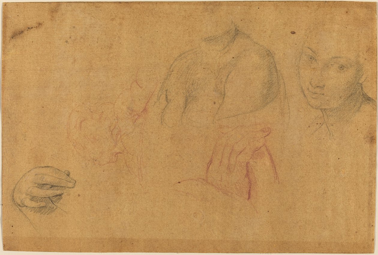 Luonnoksia päästä ja käsistä tekijältä Pompeo Batoni