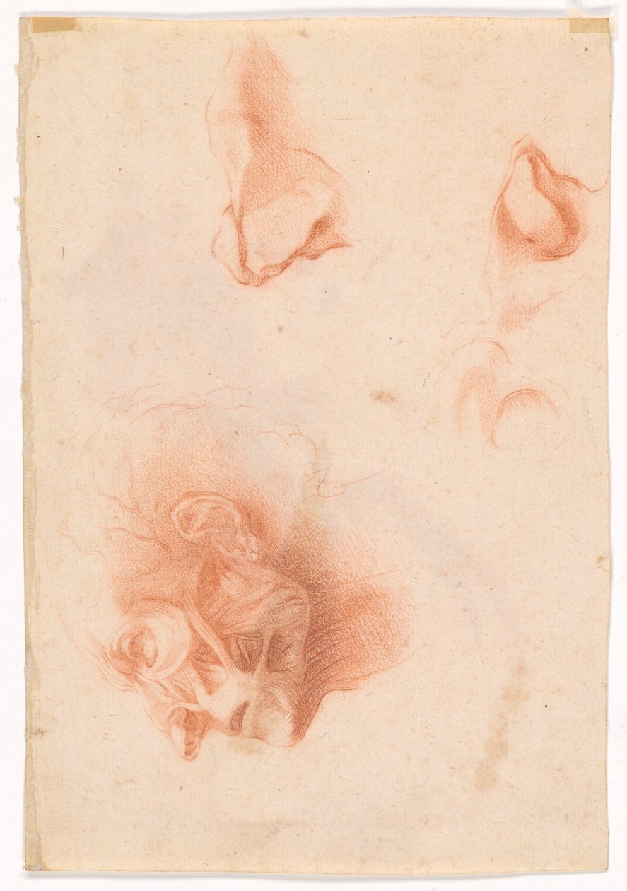 Miehen pää, kasvot profiilissa (recto); Anatominen tutkimus, kasvot profiilissa (käänteinen) tekijältä Pompeo Girolamo Batoni
