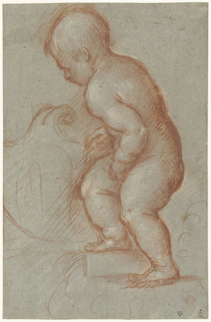 Putto vaakunalla tekijältä Pordenone (attributed to)