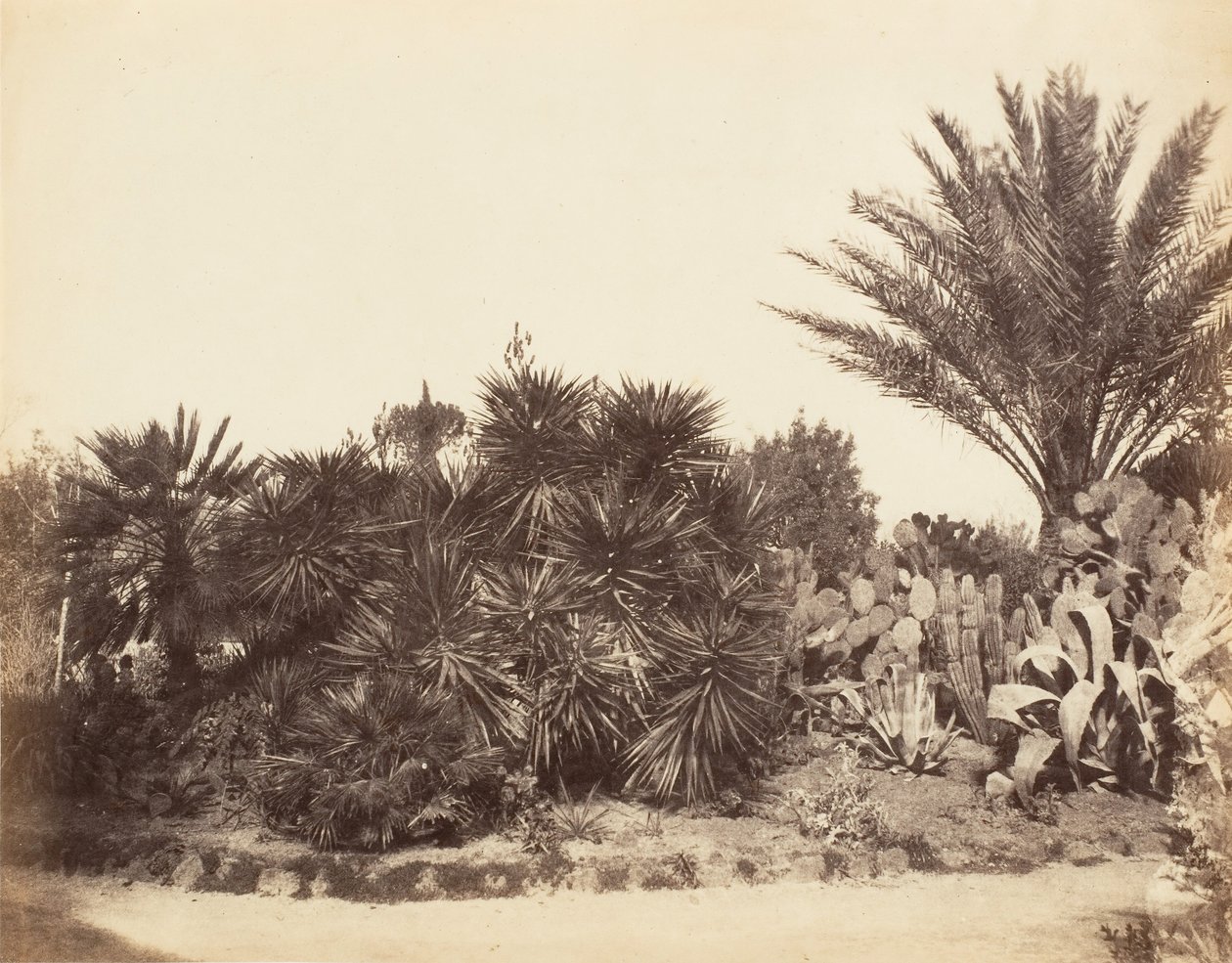 Pincian Garden, Rooma, 1853-56. tekijältä Possibly by Jane Martha St. John.