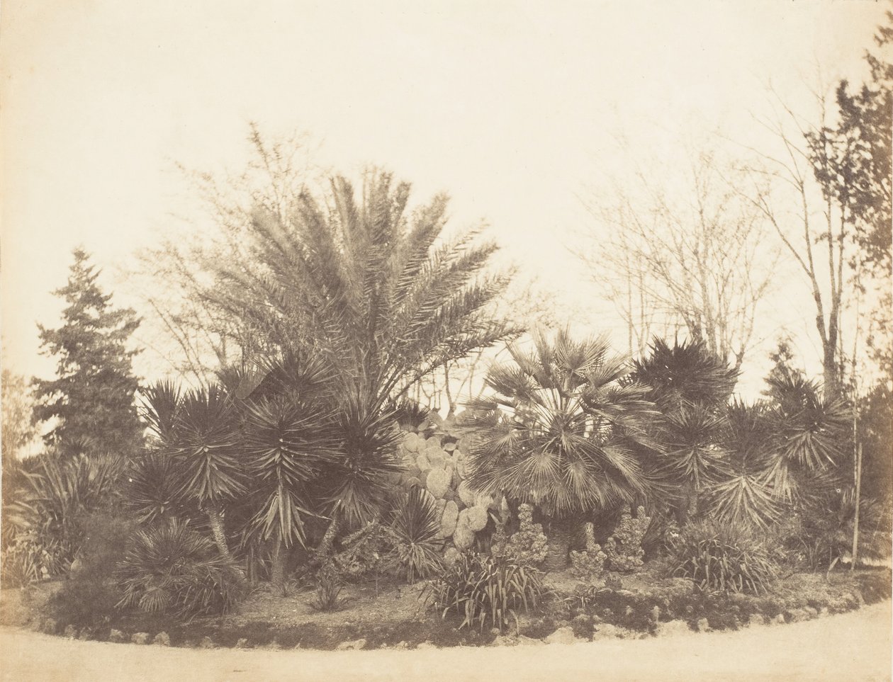 Pincian Garden, Rooma, 1853-56. tekijältä Possibly by Jane Martha St. John.