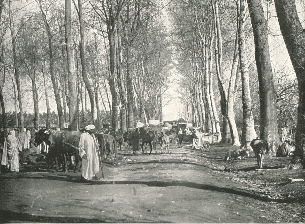 Arabien messut ja markkinat, Boufarik, Algeria, 1895. tekijältä Poulton and Co