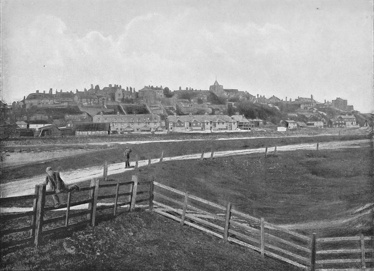 Ruis: Sulusta, c1896 tekijältä Poulton and Co