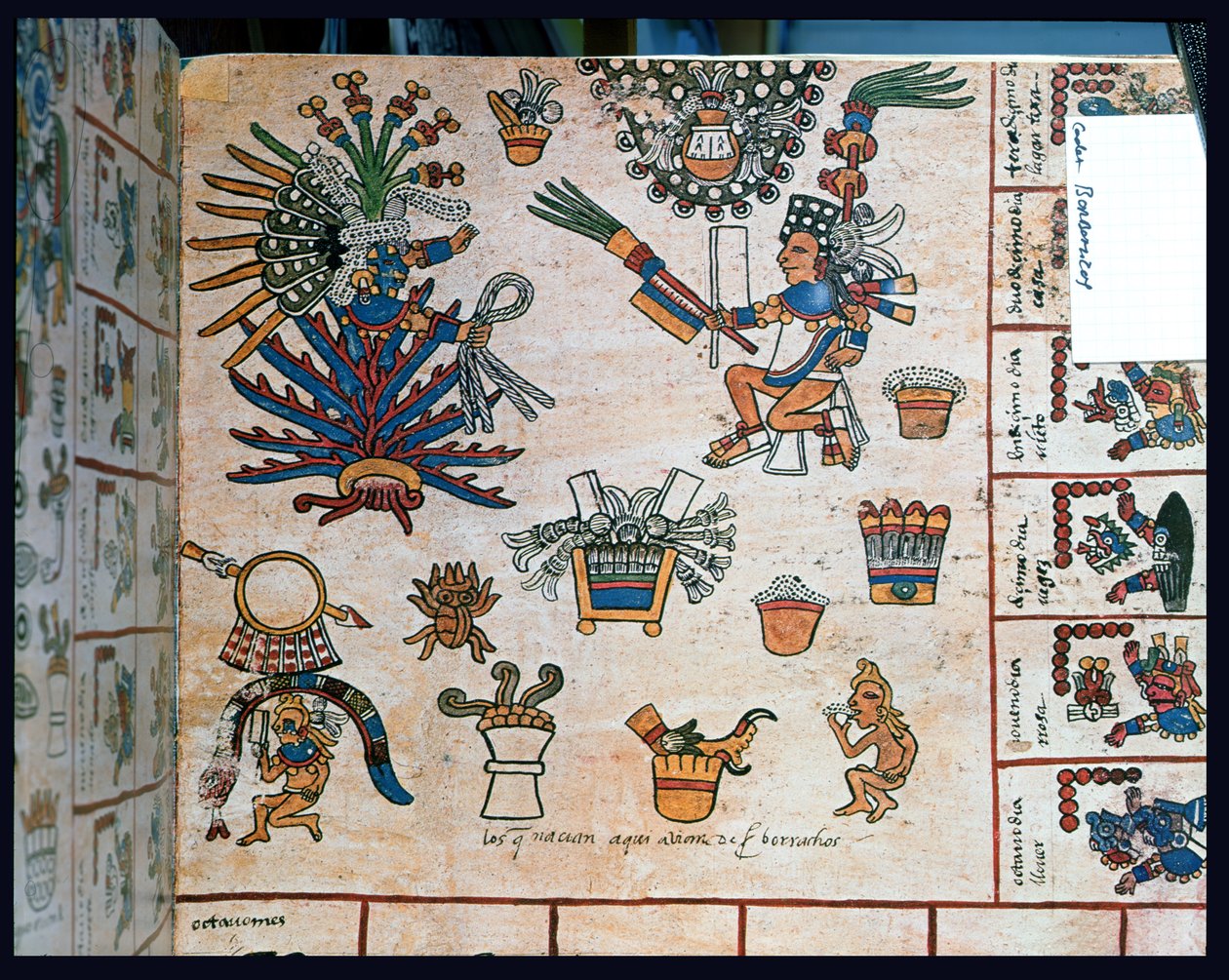 Atsteekkien Codex Borbonicus, "Tonalamatl", yksityiskohta, jossa jumalatar Mayahuel istuu agave-kasvin päällä. tekijältä Pre Columbian