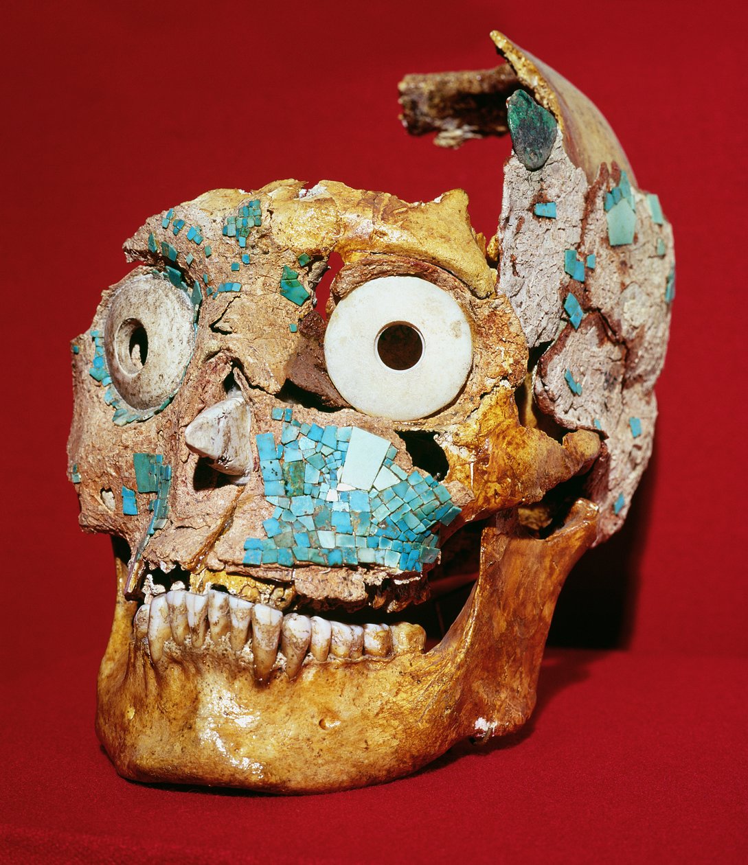 Turkoosin ja norsunluun mosaiikilla koristeltu kallo, Mixtec, haudasta 7, Monte Alban, 1300-1450 tekijältä Pre Columbian