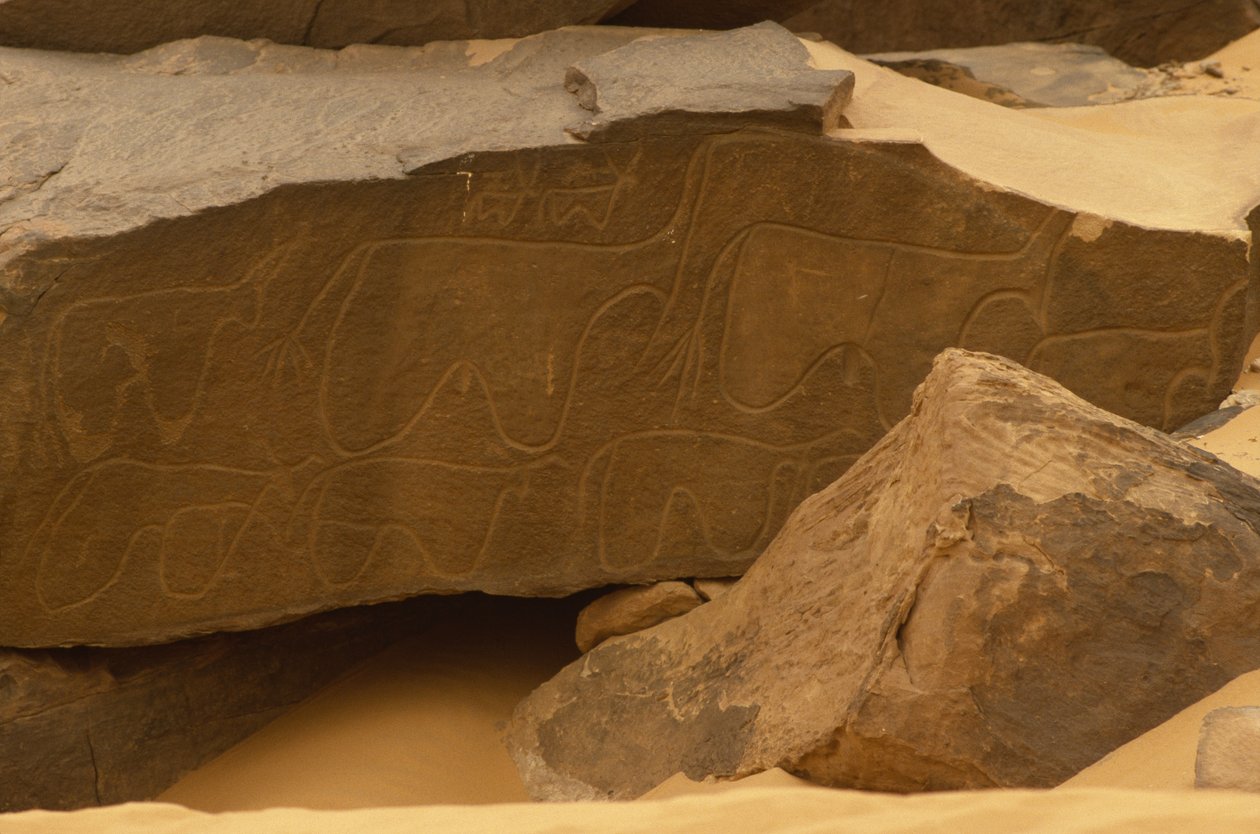 Eläimet (kivikaiverrus) tekijältä Prehistoric