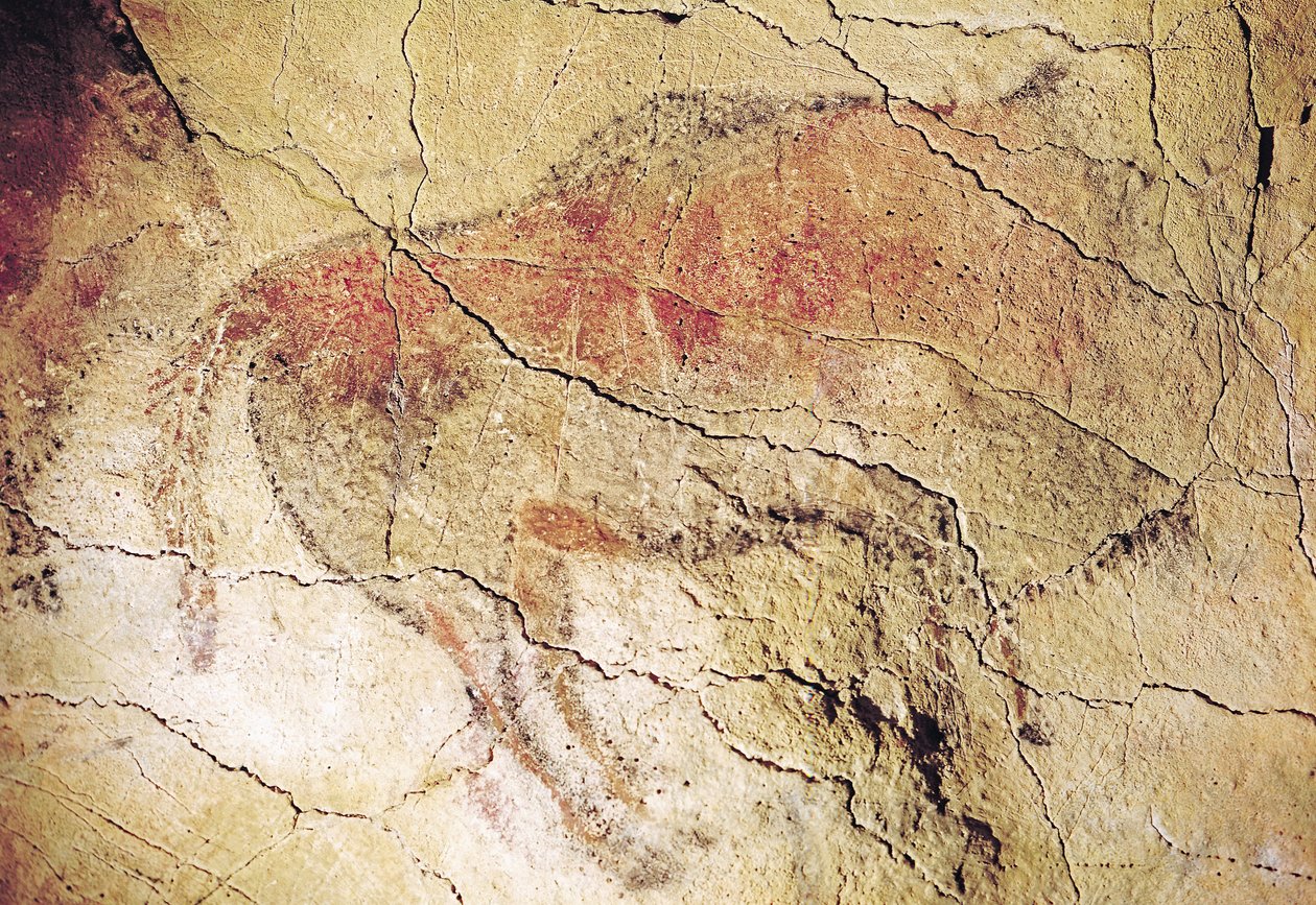 Biisoni Altamiran luolista, noin 15 000 eKr. (luolamaalaus) tekijältä Prehistoric