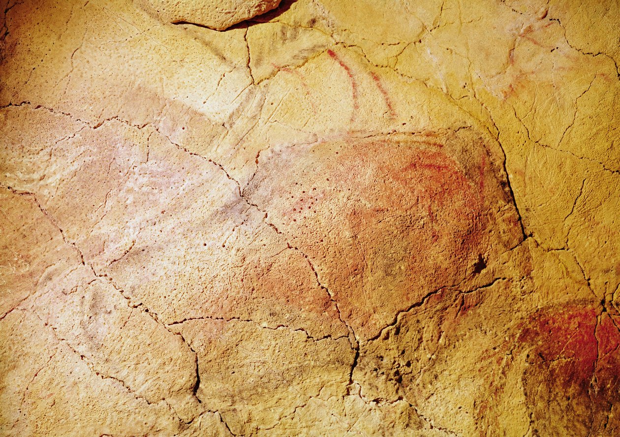 Bison, Altamiran luolista, noin 15 000 eKr. (luolamaalaus) tekijältä Prehistoric