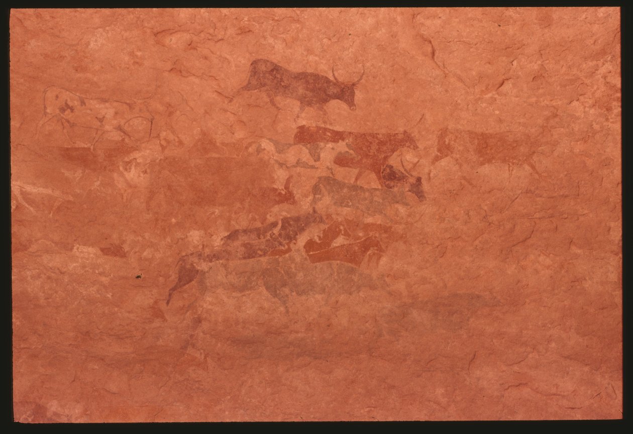 Lehmät (kivimaalaus) tekijältä Prehistoric
