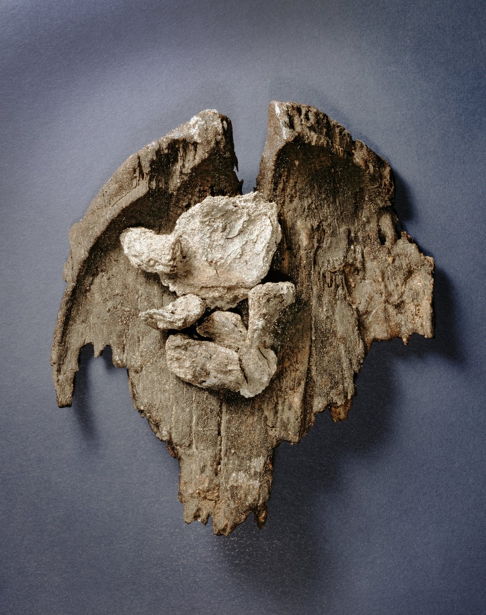 Fragmentti esihistoriallisesta astiasta, jossa on lihaliitoksen jäänteitä, Hauta G73, Jericho, (puuta) tekijältä Prehistoric