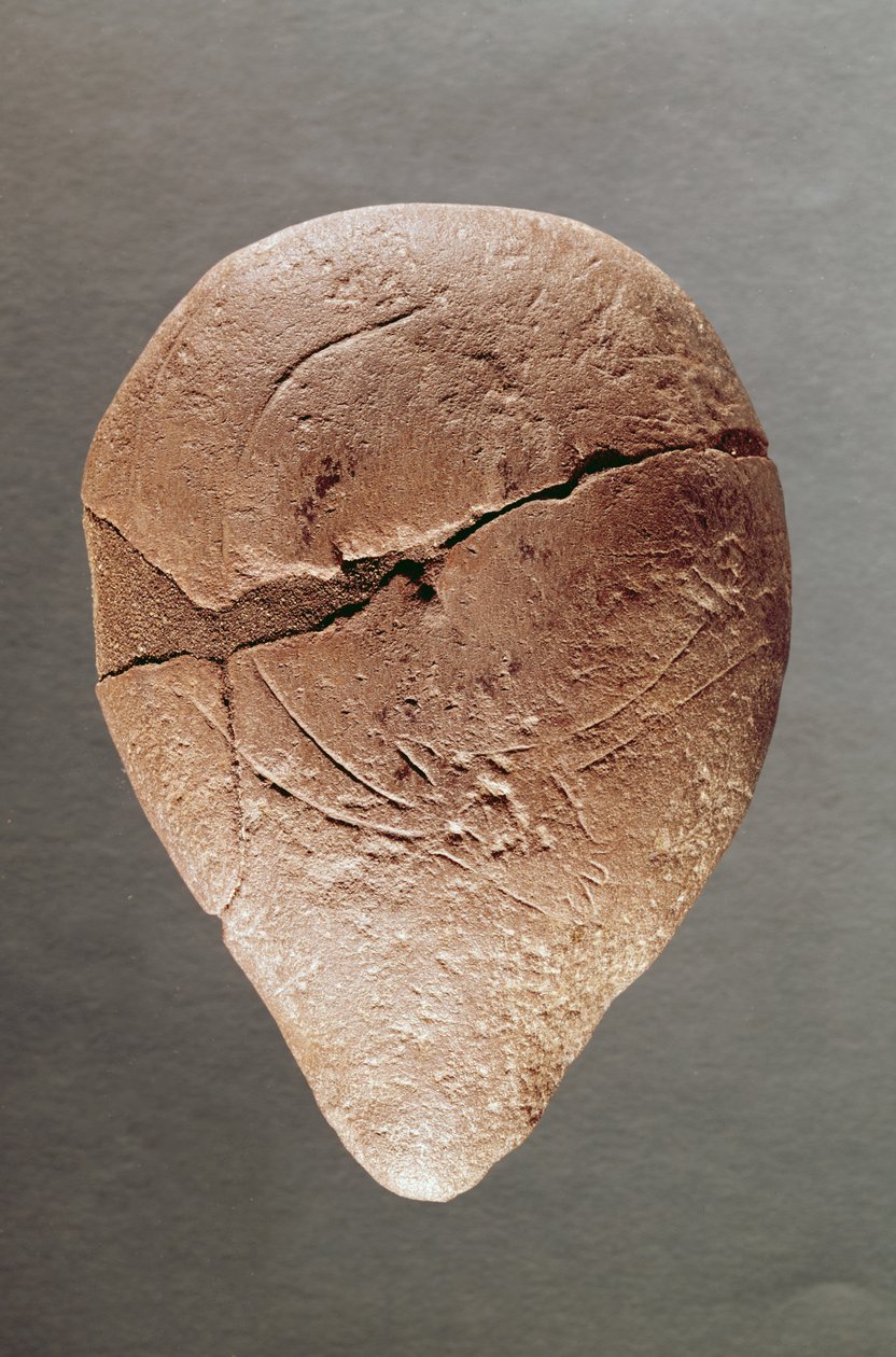 Valaisin, koristeltu metsäkurilla, Dordognesta, n. 12000 eaa tekijältä Prehistoric