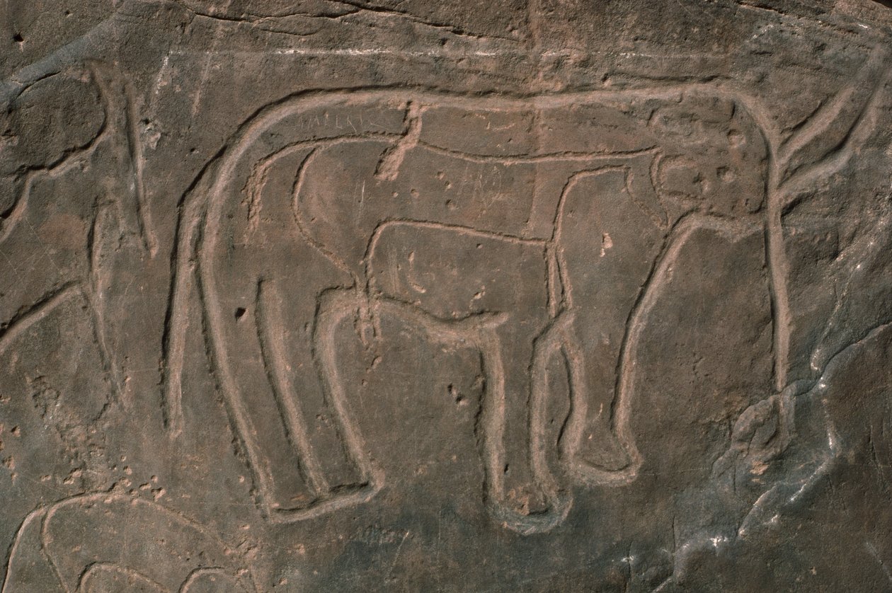 Mammutti (kallioveisto) tekijältä Prehistoric