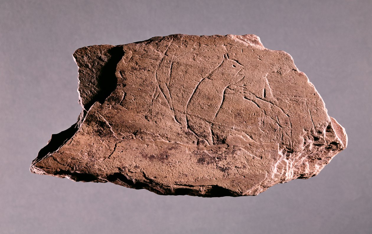 Kivi, joka kuvaa miestä, jota karhu hyökkää, Pechialetista, Dordognesta (liuske) tekijältä Prehistoric