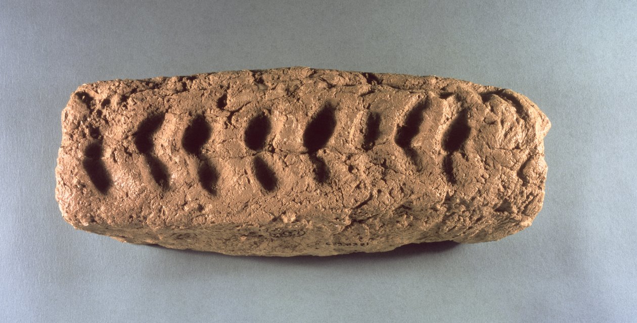 Esihistoriallinen fragmentti Jerikosta (mutatiili) tekijältä Prehistoric