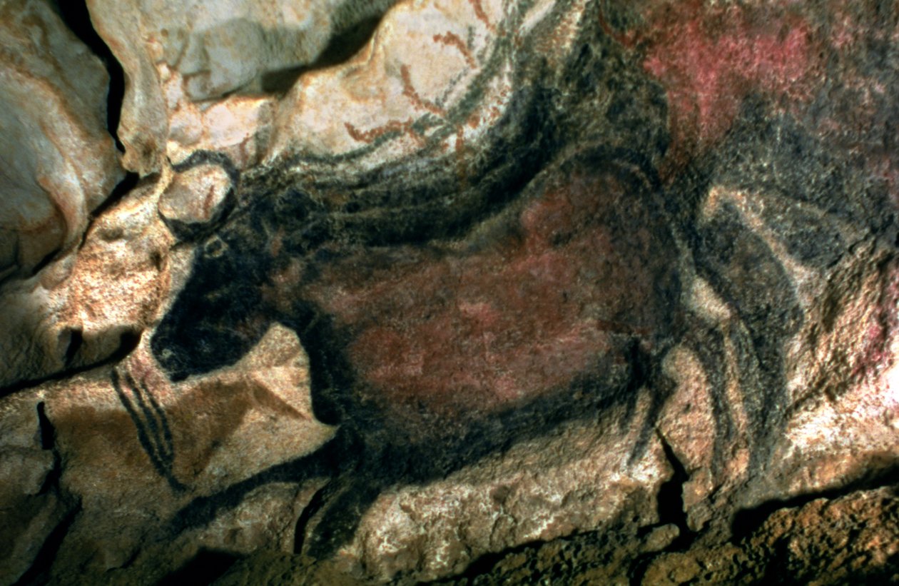 Kalliomaalaus mustasta härästä, n. 17000 eKr. (luolamaalaus) tekijältä Prehistoric