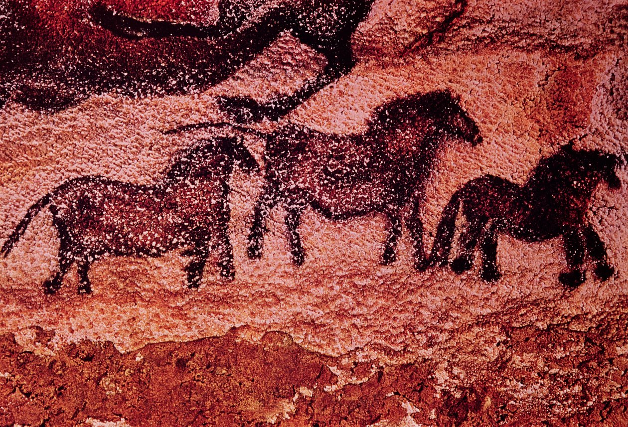 Tarpaanien (ponien) kalliomaalaus, n. 17000 eKr. (luolamaalaus) tekijältä Prehistoric