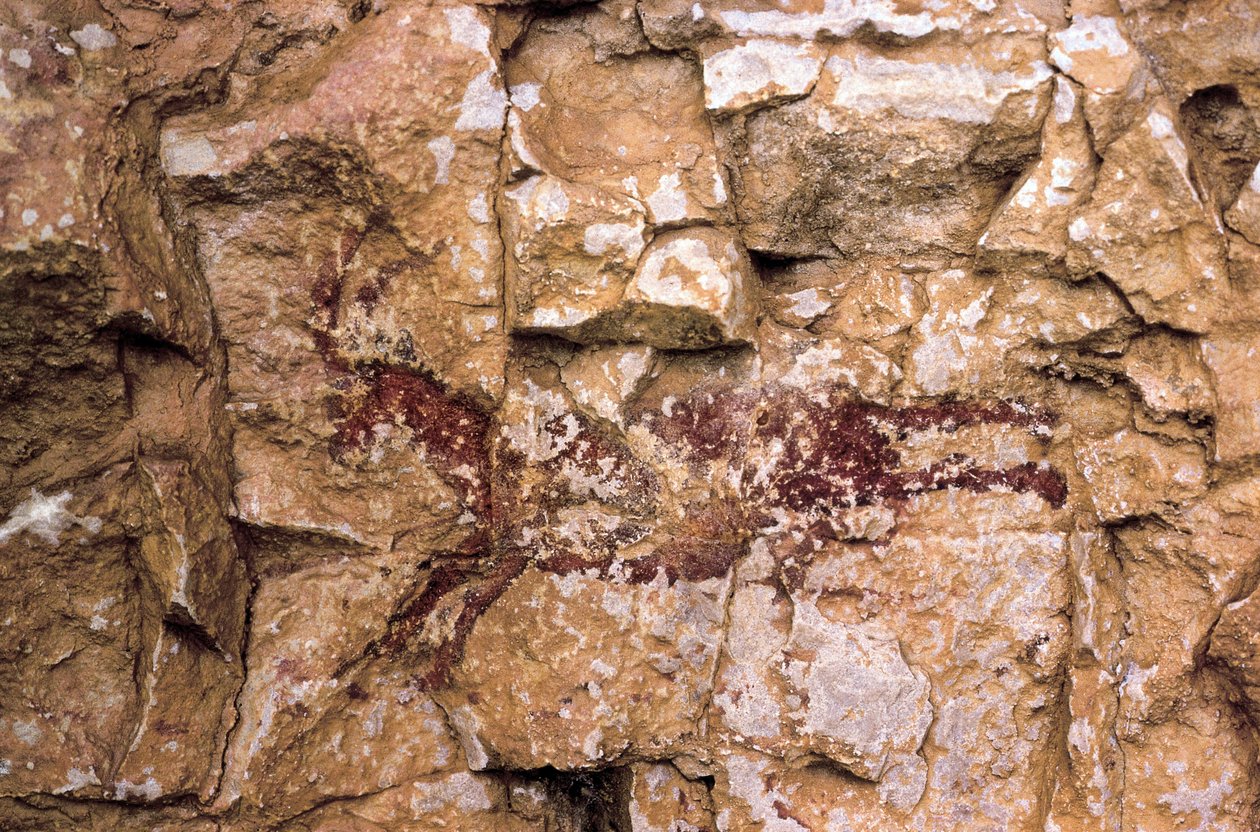 Juokseva vuohi, mesoliittikausi, Espanja, Remigian luola, Barranco de la Gasulla, Ares del Maestre (maalaus) tekijältä Prehistoric Prehistoric