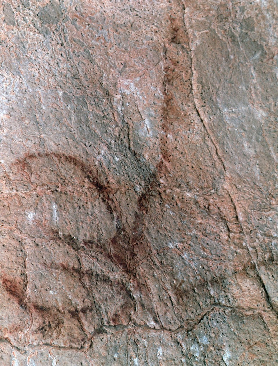  tekijältä Prehistoric Prehistoric