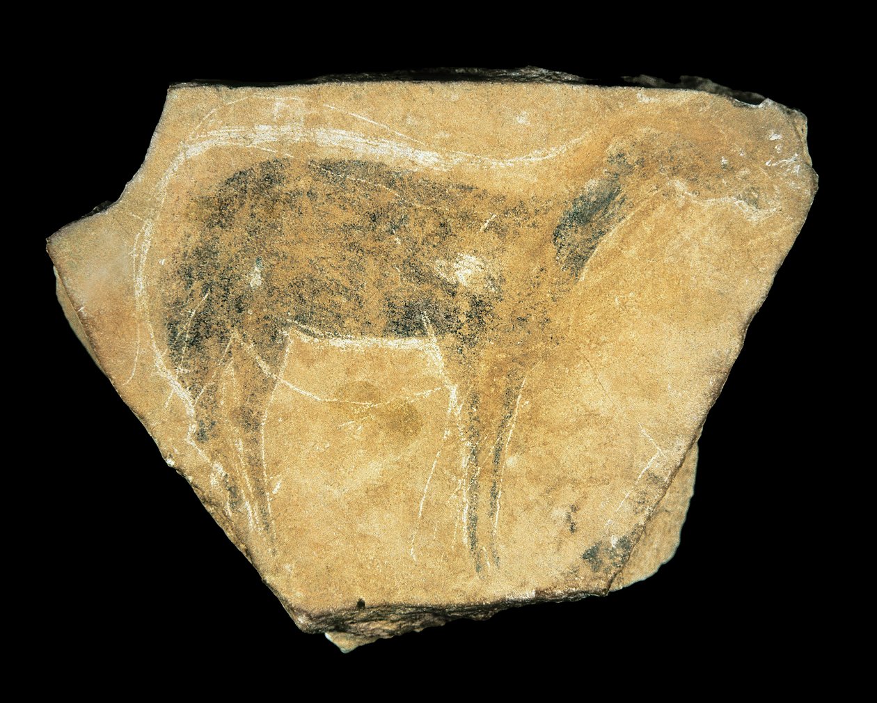 Musta hirvi, Parpallon luola, Espanja, Yläpaleoliitti (maalaus) tekijältä Prehistoric Prehistoric