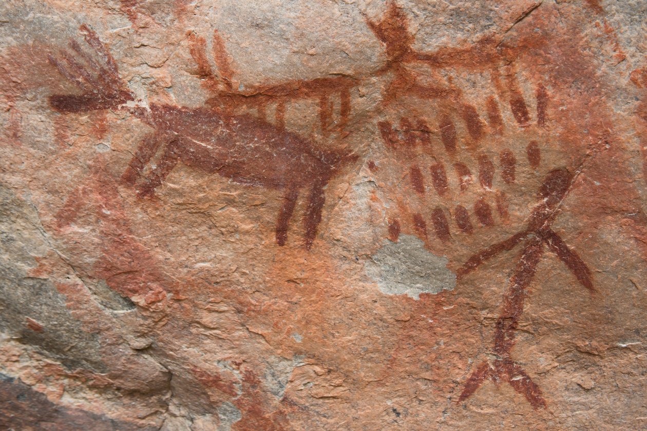 Luolamaalaus, Salmon-Challiksen kansallismetsä (kuva) tekijältä Prehistoric Prehistoric