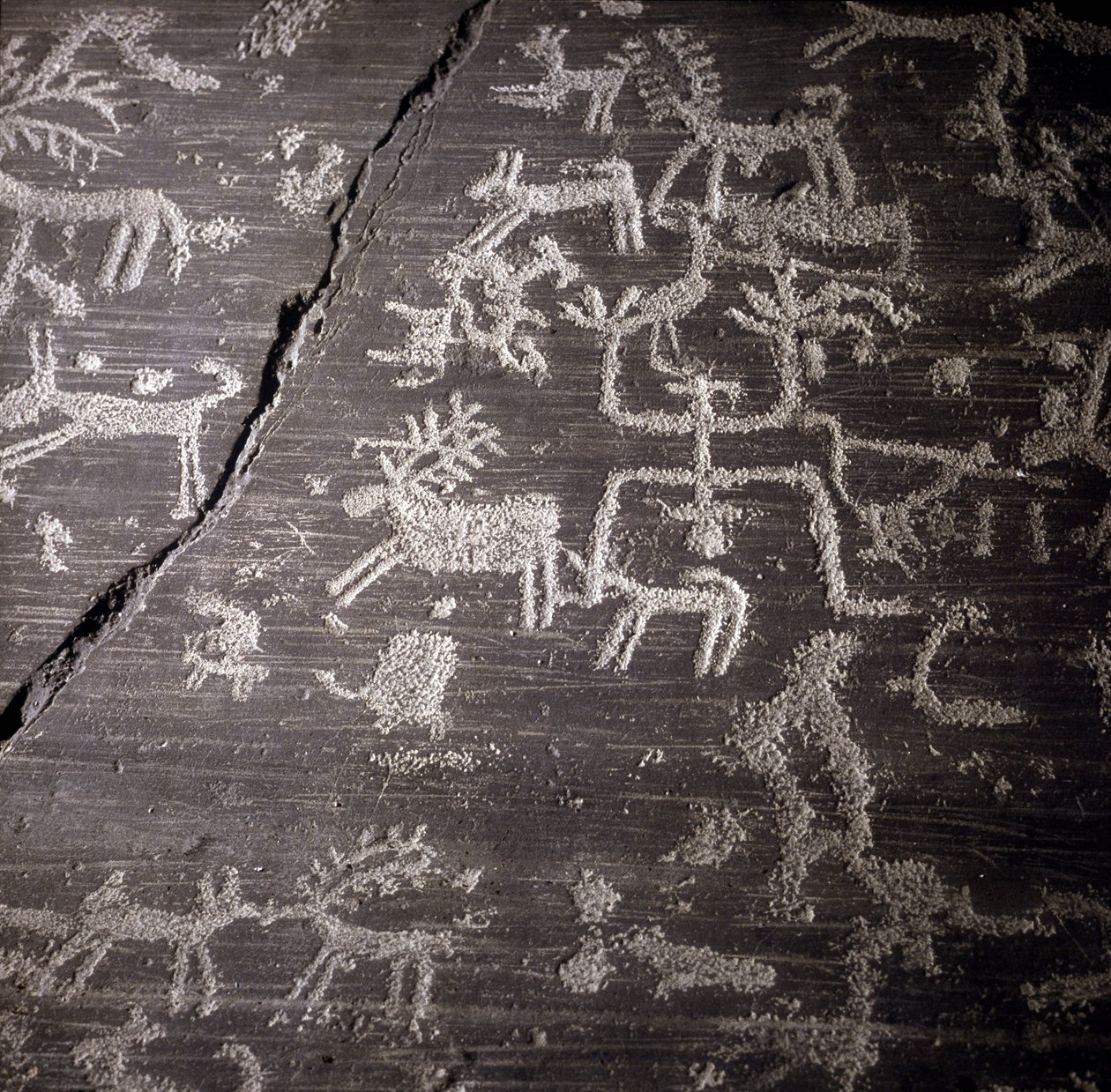 Camunnien sivilisaatio, esihistoria, kalliotaide: hautakivi, yksityiskohdat suuresta Naquanen kalliosta Valcamonicassa (Val camonica). Museo archeologico de Milan tekijältä Prehistoric Prehistoric