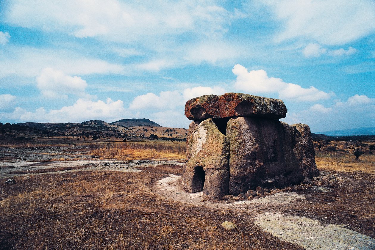 Dolmen Sa Coveccada tai S