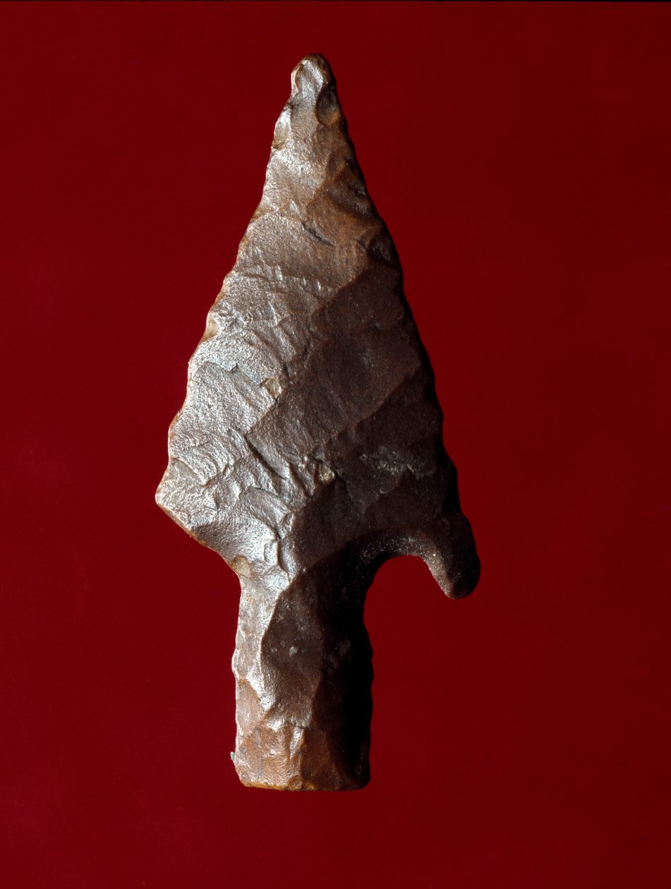Egyptiläinen antiikki: nuolen kärki Fayoumin (Fayyum tai Fayum) paikalta Egyptistä. Predynastian aika. Verone, Museo Civico di Storia Naturale, Italia tekijältä Prehistoric Prehistoric