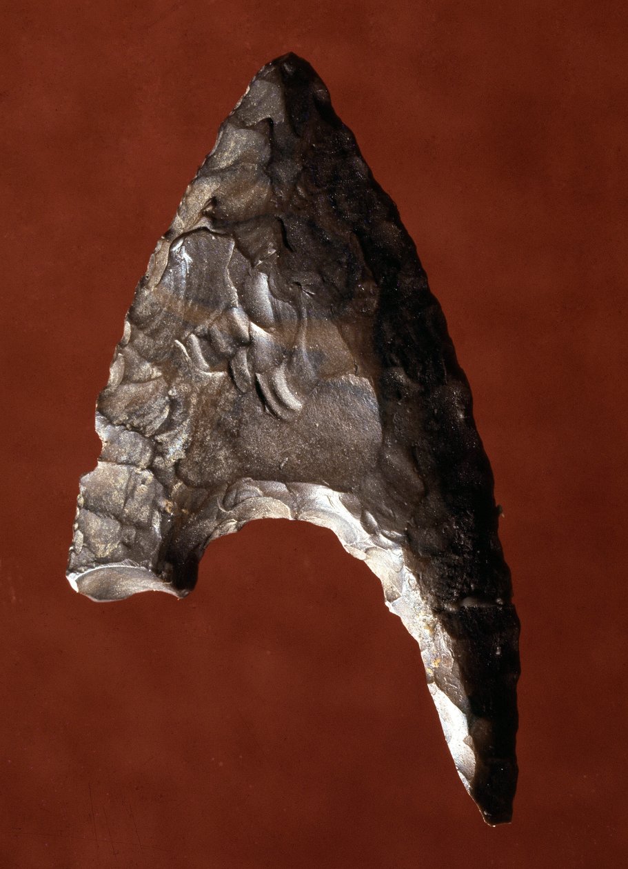 Egyptiläinen antiikki: nuolen kärki Fayoumin (Fayyum tai Fayum) paikalta Egyptistä. Predynastian aika. Verone, Museo Civico di Storia Naturale, Italia tekijältä Prehistoric Prehistoric